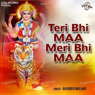 Teri Bhi Maa Meri Bhi Maa Poster