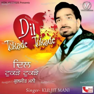 Dil Tukade Tukade Poster