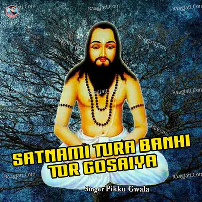 Satnami Tura Banhi Tor Gosaiya Cover