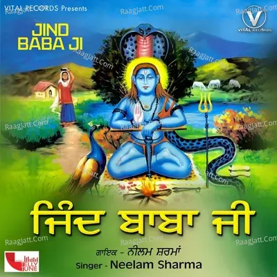 Jind Baba Ji Poster