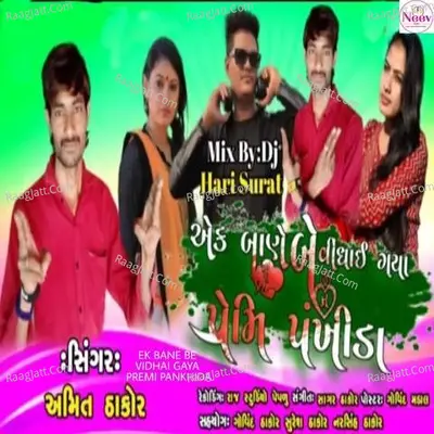 Ek Bane Be Vindhai Gaya Premi Pankhida Cover