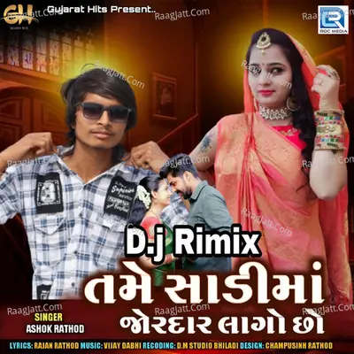 Tame Sadima Jordar Lago Chho Dj Remix Cover