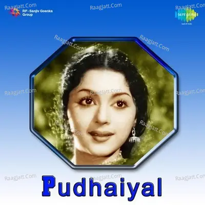 Pudhaiyal - Viswanathan Ramamoorthy