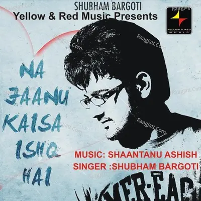 Na Jaanu Kaisa Ishq Hai Poster