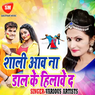 Sali Aawa Na Dal Ke Hilawe Da Poster