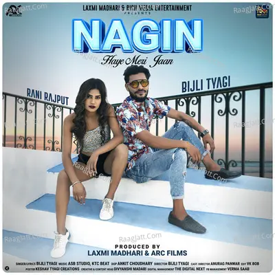 Nagin- Haye Meri Jaan Cover