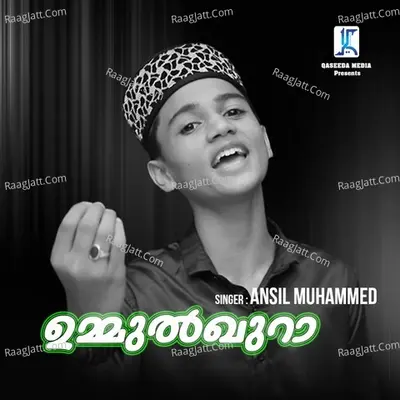 Ansil Muhammed Image