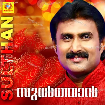 Sulthan - Siddharth Vijayan