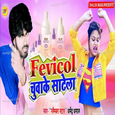 Fevicol Chuwake Satela