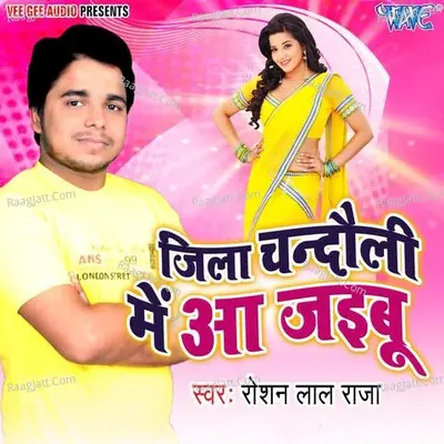 Jila Chandoli Me Aa Jaibu Poster