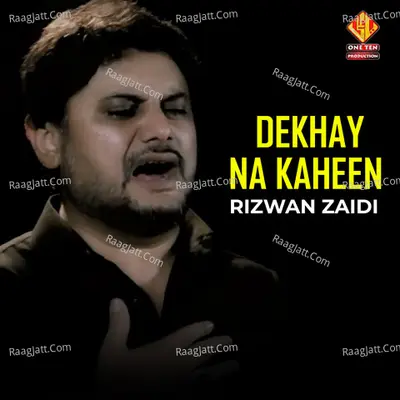 Dekhay Na Kaheen - Rizwan Zaidi