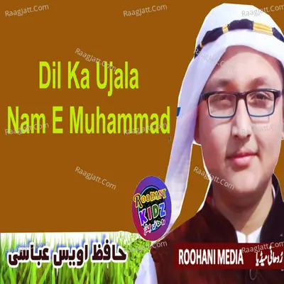 Hafiz Owais Abbasi Image