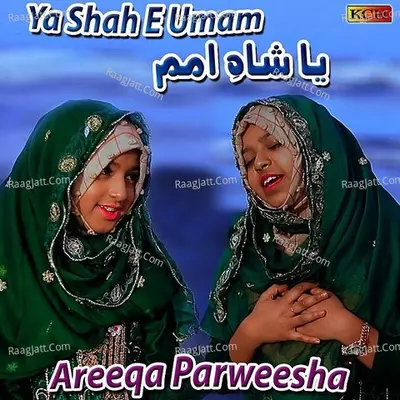 Ya Shah E Umam Poster
