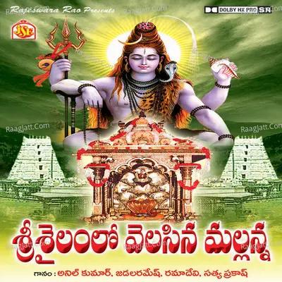 Srisailam Lo Velasina Mallanna - Anil Kumar