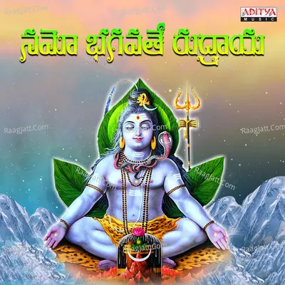 Namo Bhagavathe Rudraya Poster