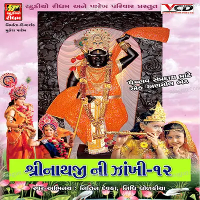 Shrinathji Ni Zakhi Part 12 Poster
