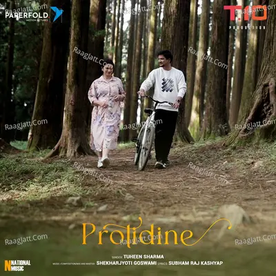 Protidine - Single