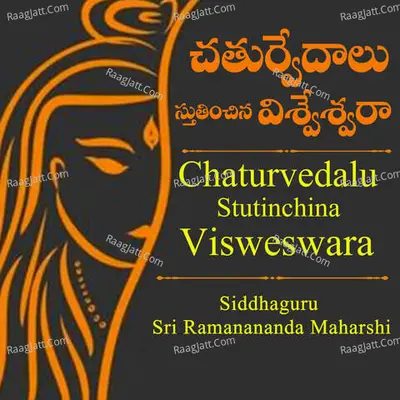 Chaturvedalu stutinchina Visweswara Cover