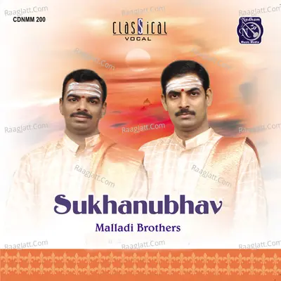 Sukhanubhav (Live) - Malladi Brothers