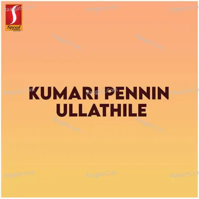 Kumari Pennin Ullathile (Original Motion Picture Soundtrack) - Amudha Bharathi