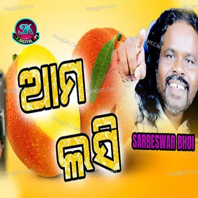 Aam Llashi Cover