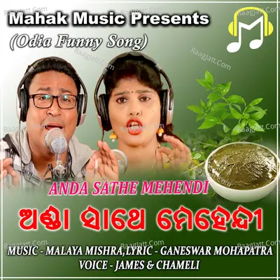 Anda Sathe Mehendi Cover