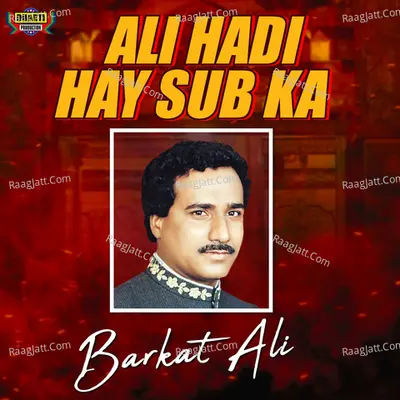 Ali Hadi Hay Sub Ka Poster