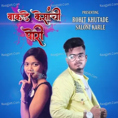 Vakde Kesanchi Pori Cover