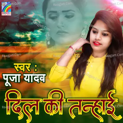 Dil Ki Tanhai Poster