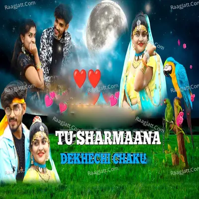 Tu Sharmaana Dekhechi Chaku Cover