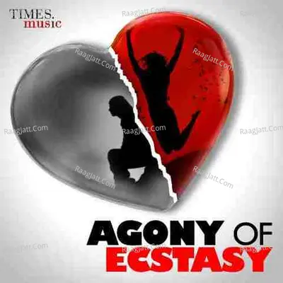 Agony Of Ecstasy - Rahat Fateh Ali Khan