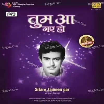 Sitare Zameen Par Sanjeev Kumar Poster