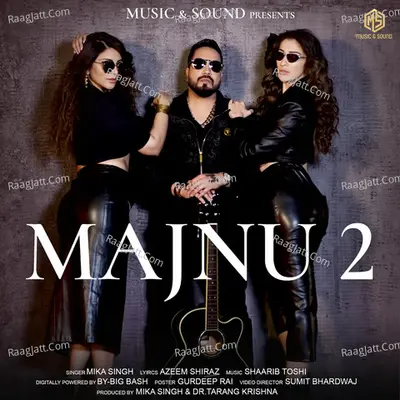 Majnu 2 Cover