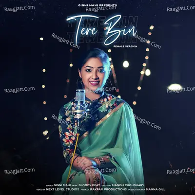 Tere Bin (Cover Version)
