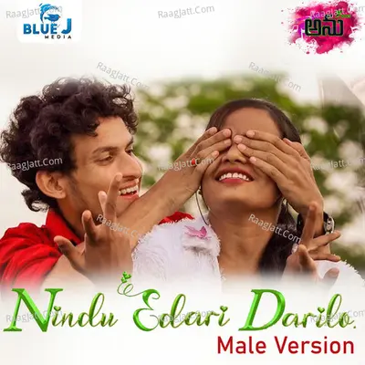 Nindu Edari Darilo (Male Version) Cover