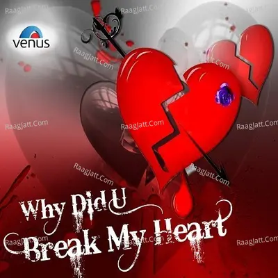 Why Did You Break My Heart - Nadeem-Shravan