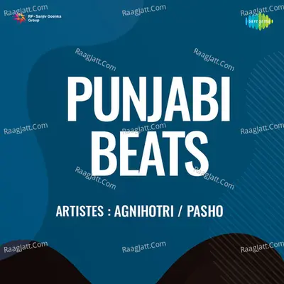 Punjabi Beats Cover