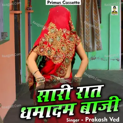 Sari Raat Dhamadam Baji Cover