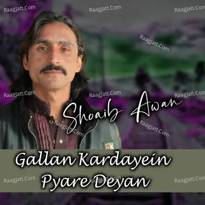 Gallan Kardayein Pyare Deyan Cover