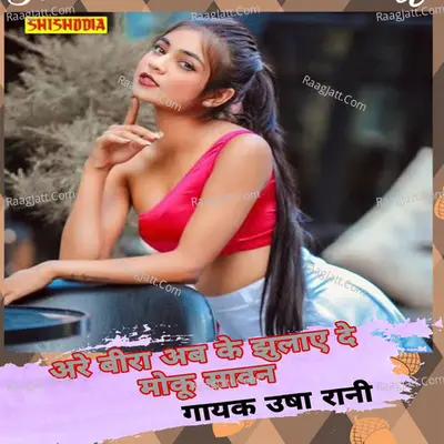 Are beera ab ke jhulayde moku sawan Cover