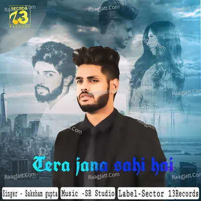 Tera jana sahi hai Cover