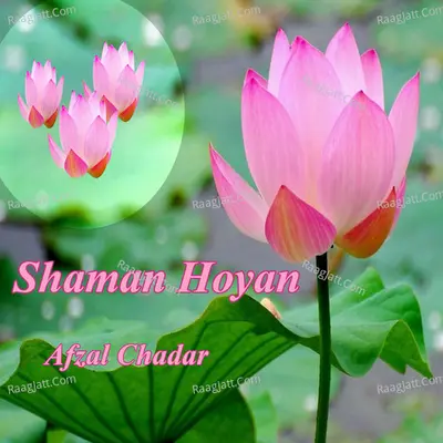 Shaman Hoyan - Afzal Chadar