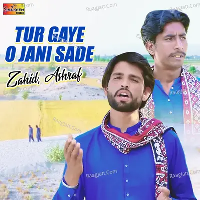 Tur Gaye O Jani Sade - Single Cover