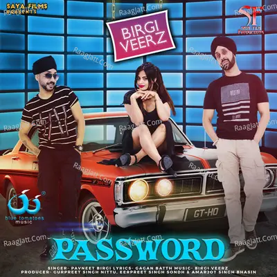 Pavneet Birgi Image