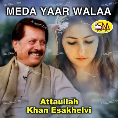Meda Yaar Walaa Cover