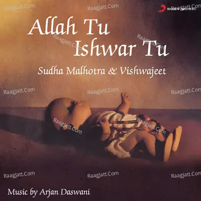 Allah Tu Ishwar Tu (Bhajans) - Vishwajeet
