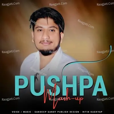 Pushpa Mashup Cover