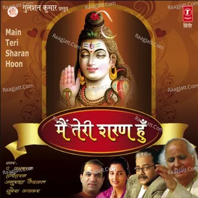Main Teri Sharan Hoon - Suresh Wadkar