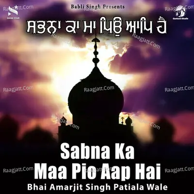 Bhai Amarjit Singh Singh Patiala Wale