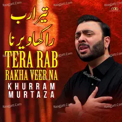Tera Rab Rakha Veer Na - Single